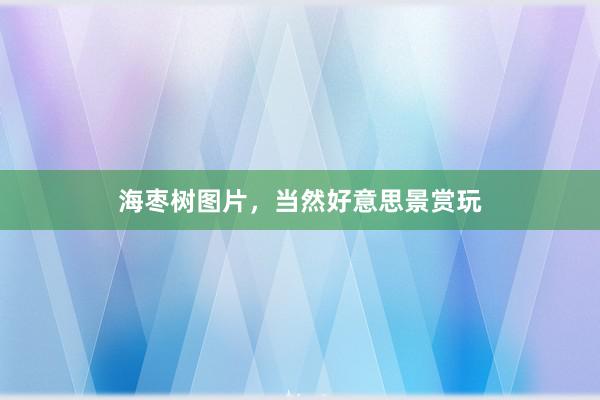海枣树图片,当然好意思景赏玩